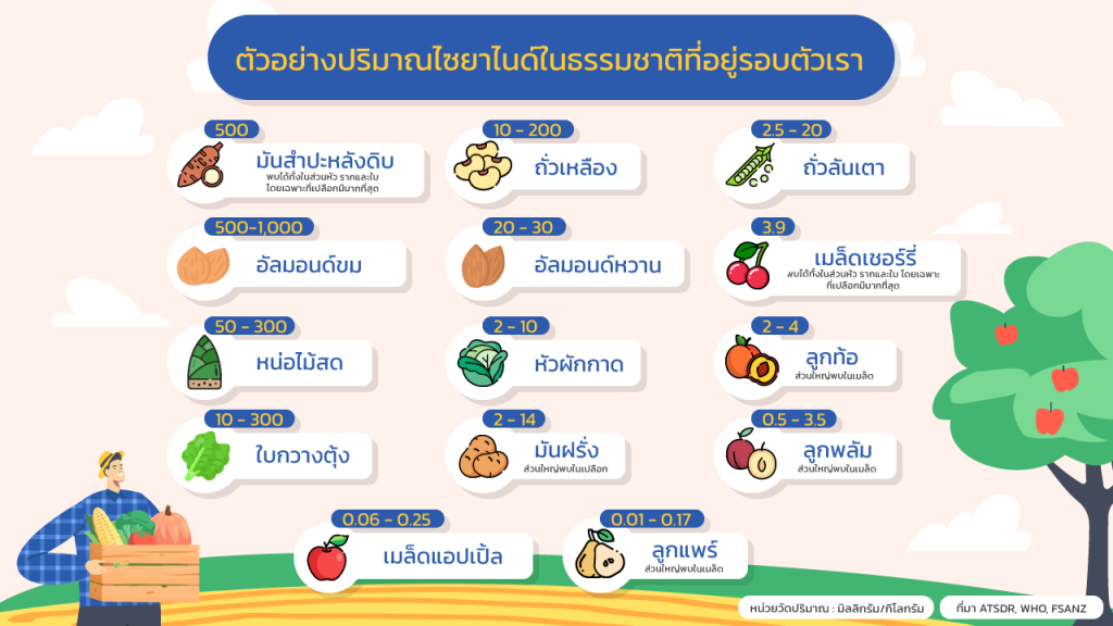 ไซยาไนด์ในผักและผลไม้