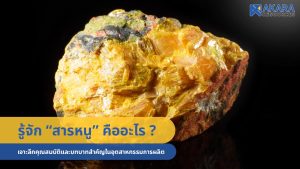 รู้จัก “สารหนู” คืออะไร เจาะลึกคุณสมบัติและบทบาทสำคัญในอุตสาหกรรมการผลิต