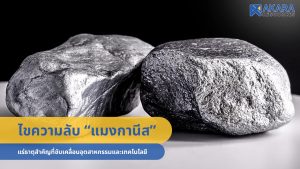 “แมงกานีส” แร่ธาตุสำคัญที่ขับเคลื่อนอุตสาหกรรมและเทคโนโลยี