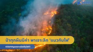 ‘แนวกันไฟ’ หัวใจสำคัญของการป้องกันไฟป่า