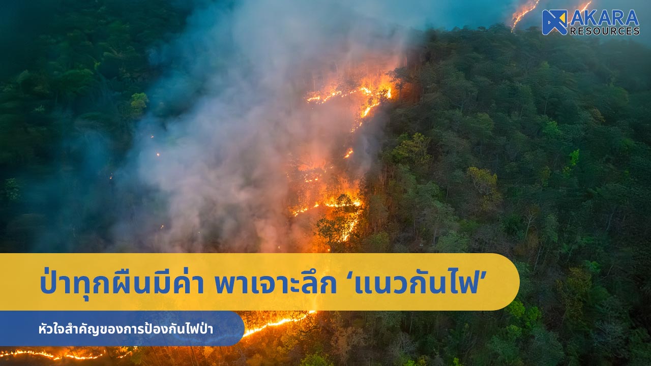‘แนวกันไฟ’ หัวใจสำคัญของการป้องกันไฟป่า
